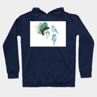 Parrots Hoodie